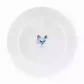 8" China Plate